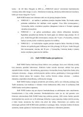 DnB NORD banko veikla ir perspektyvos 9 puslapis