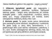 Neverbalinis bendravimas. Bendravimo psichologija 17 puslapis