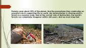 Deforestation 2 puslapis