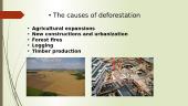 Deforestation 3 puslapis