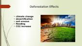 Deforestation 4 puslapis