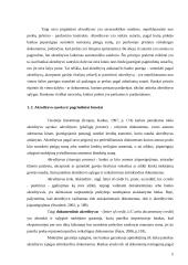 Dokumentinis akredityvas 4 puslapis