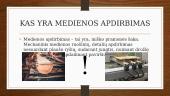 Medienos apdirbimas 3 puslapis