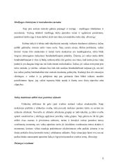 Individualizavimas ir diferencijavimas taikant mokymąsi bendradarbiaujant 4 puslapis