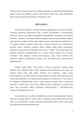 Individualizavimas ir diferencijavimas taikant mokymąsi bendradarbiaujant 6 puslapis