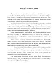 Dorovė ir socialinė atsakomybė 2 puslapis