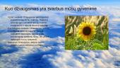 Skaidrės apie džiaugsmą 2 puslapis