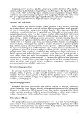 Dorovinis auklėjimas pagal Šalkauskį ir Jovaišą 11 puslapis