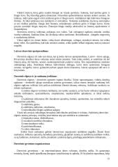 Dorovinis auklėjimas pagal Šalkauskį ir Jovaišą 12 puslapis