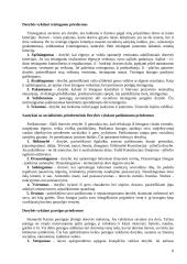 Dorovinis auklėjimas pagal Šalkauskį ir Jovaišą 8 puslapis