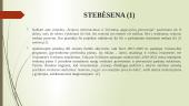 Socialinio teisingumo viešoji politika Lietuvoje: senjorų atskirtis, nuo socialinio gyvenimo 14 puslapis