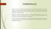 Socialinio teisingumo viešoji politika Lietuvoje: senjorų atskirtis, nuo socialinio gyvenimo 16 puslapis