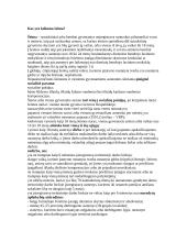 Šeima - kaip socialinė rizika 2 puslapis