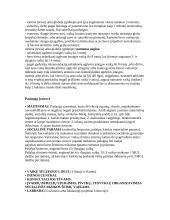 Šeima - kaip socialinė rizika 3 puslapis