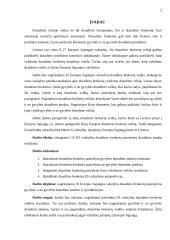 Draudimo brokerių veikla Europos Sąjungoje (ES) 2 puslapis