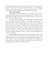 Spektaklio „Amerika pirtyje“ recenzija  2 puslapis