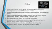 Silicio organiniai junginiai ir  jų pritaikymas 2 puslapis