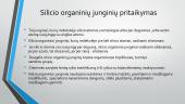 Silicio organiniai junginiai ir  jų pritaikymas 6 puslapis
