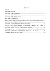 Draudimo įmonės 2 puslapis