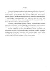 Draudimo įmonės 3 puslapis