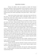 Draudimo įmonės 4 puslapis