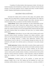 Draudimo įmonės 6 puslapis