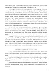 Draudimo įmonės 10 puslapis