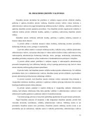 Draudimo įmonių steigimas 11 puslapis