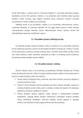 Draudimo įmonių steigimas 12 puslapis