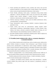 Draudimo įmonių steigimas 13 puslapis