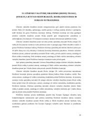 Draudimo įmonių steigimas 20 puslapis