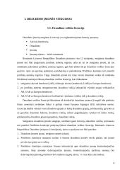 Draudimo įmonių steigimas 4 puslapis