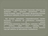 Mirties bausmė (skaidrės) 3 puslapis