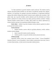 Draudimo sutarties samprata ir sudėtis 2 puslapis