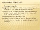 Skaidrės apie sociologiją 11 puslapis