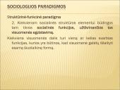 Skaidrės apie sociologiją 15 puslapis