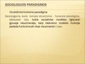 Skaidrės apie sociologiją 16 puslapis
