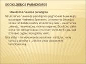 Skaidrės apie sociologiją 17 puslapis