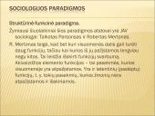 Skaidrės apie sociologiją 18 puslapis