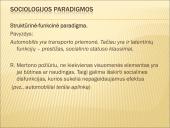 Skaidrės apie sociologiją 19 puslapis