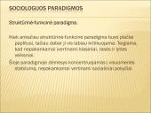Skaidrės apie sociologiją 20 puslapis