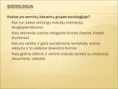 Skaidrės apie sociologiją 5 puslapis