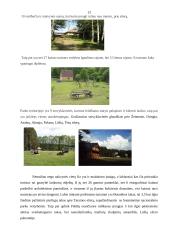 Poilsinio turizmo vystymosi perspektyvos Lietuvoje 12 puslapis