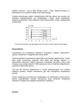 Dvipolis tranzistorius 6 puslapis