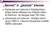 Teritorija ir sienos 10 puslapis