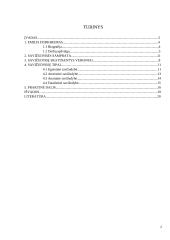 Emile Durkheim “Savižudybė” 2 puslapis