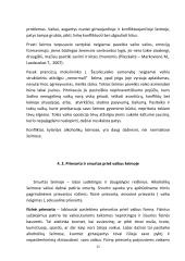 Socialinės rizikos ( alkoholikų) šeimų vaikai ir paramos jiems organizavimas: sociologinė interpretacija  10 puslapis