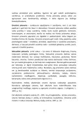 Socialinės rizikos ( alkoholikų) šeimų vaikai ir paramos jiems organizavimas: sociologinė interpretacija  11 puslapis