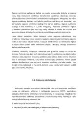 Socialinės rizikos ( alkoholikų) šeimų vaikai ir paramos jiems organizavimas: sociologinė interpretacija  16 puslapis