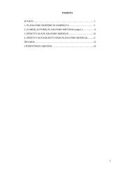 Efektyvaus planavimo metodai 2 puslapis